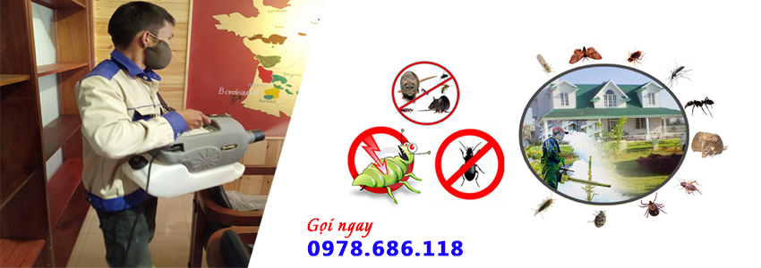 Diệt mối tận gốc tại Ninh Bình - 0978.686.118 Cam Kết 100% Hiệu Quả Hết Mối