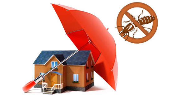 Diệt mối tận gốc tại Tuyên Quang 0978.686.118 Cam Kết 100% Hiệu Quả Hết Mối